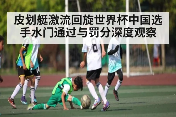 皮划艇激流回旋世界杯中国选手水门通过与罚分深度观察